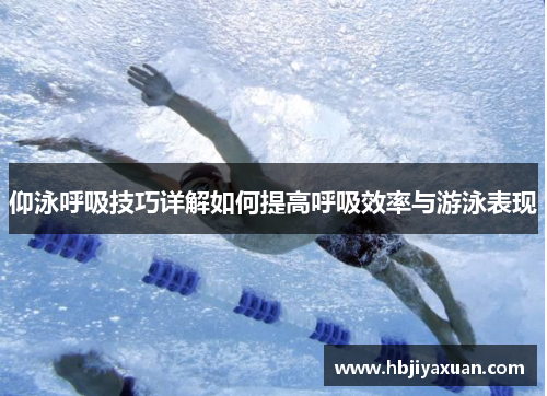 仰泳呼吸技巧详解如何提高呼吸效率与游泳表现