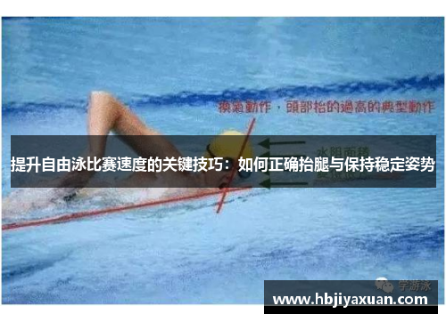 提升自由泳比赛速度的关键技巧：如何正确抬腿与保持稳定姿势