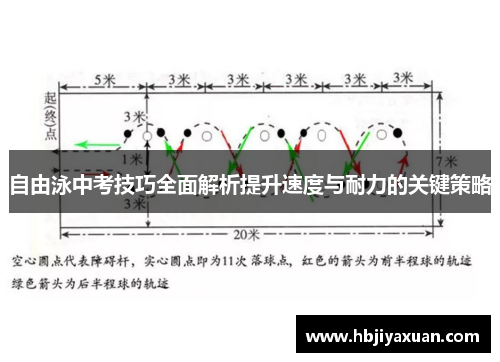 自由泳中考技巧全面解析提升速度与耐力的关键策略