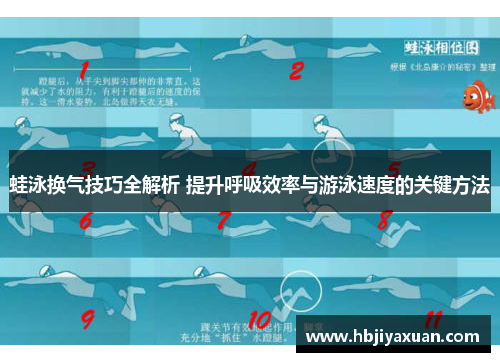 蛙泳换气技巧全解析 提升呼吸效率与游泳速度的关键方法