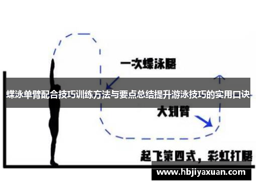 蝶泳单臂配合技巧训练方法与要点总结提升游泳技巧的实用口诀